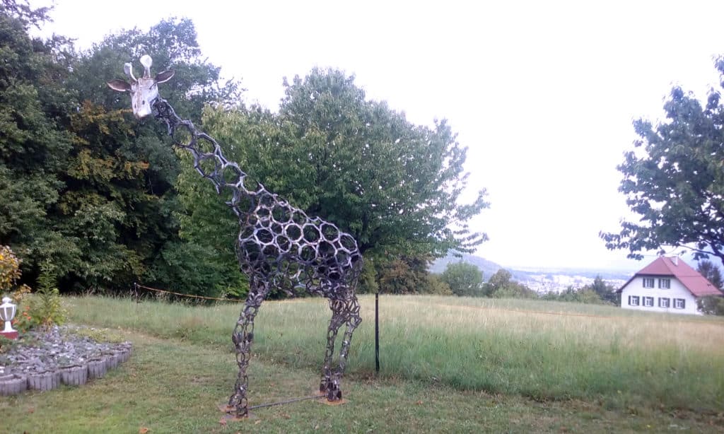 Girafe perdue en Valais