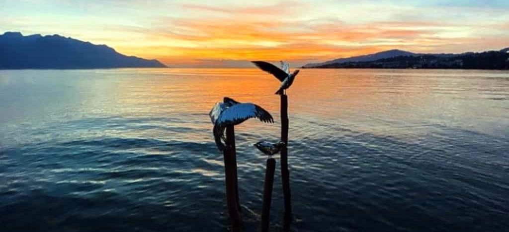 Biennale de Montreux "Les Mouettes"