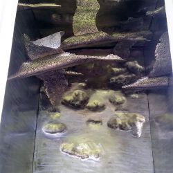 Sculpture Valais - 3e Âge de Fer - Catégorie : Installation - Titre : Ce que j'emporte - Lac de Géronde - Oies migratrices