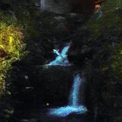 Sculpture Valais - 3e Âge de Fer - Catégorie : Mosaïque - Titre : Poisson - Poisson dans une rivière, de nuit