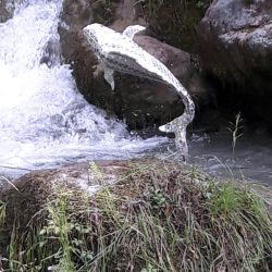 Sculpture Valais - 3e Âge de Fer - Catégorie : Mosaïque - Titre : Poisson - Un poisson saute hors de l'eau d'une rivière