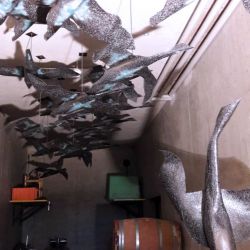 Le vol des migrantes sur fond de fûts de chêne