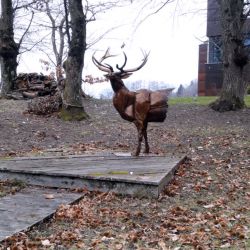 Sculpture Valais 3e Âge de Fer le cerf