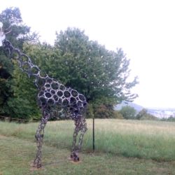 Girafe perdue en Valais