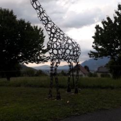 Girafe perdue en Valais