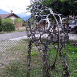 Girafe perdue en Valais