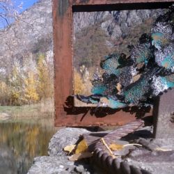 Feuilles encadrées