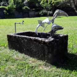 Poissons en route vers la liberté?