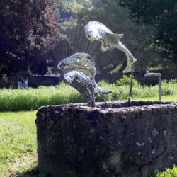 Poissons en route vers la liberté?