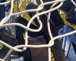 Les emplettes: sel, lait et pain Filet à commissions