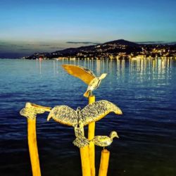 Biennale de Montreux "Les Mouettes"