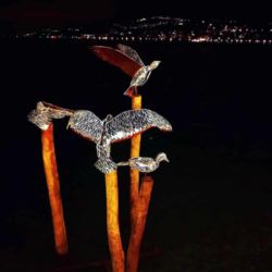 Biennale de Montreux "Les Mouettes"
